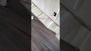 Cuando un piso laminado se levanta o se esponja ect. Que hay que hacer.