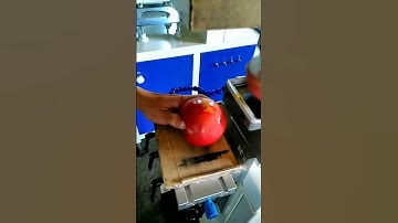 Fully Automatic Cup Printing Machine Pad Printer To Feeding Bottle Apple PD-1 In Selling