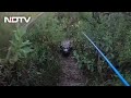 Watch: Giant Alligator chases Florida man during Tarpon fishing