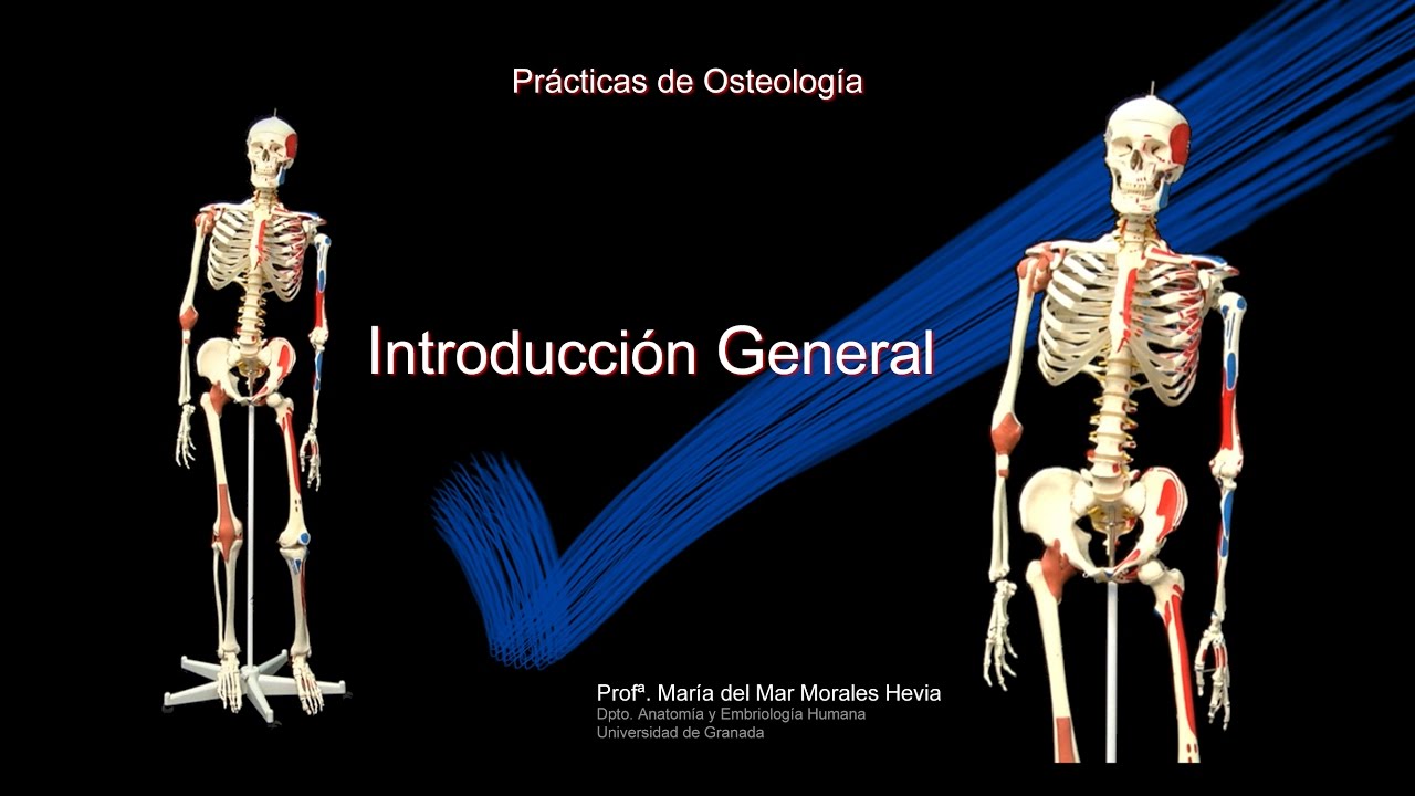 Introducción General camera iphone 8 plus apk