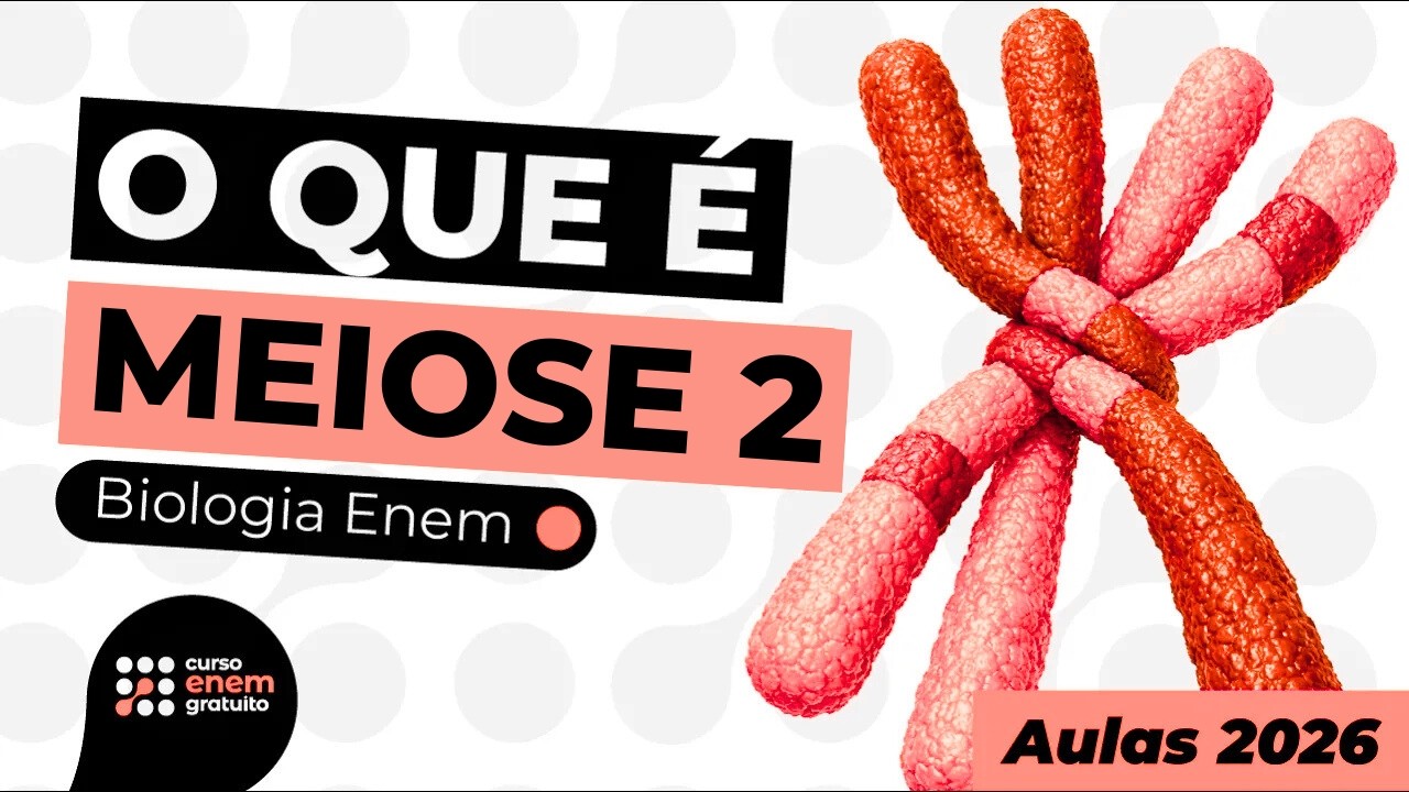 O QUE É MEIOSE 2 | Biologia para o Enem | Cláudia Aguiar