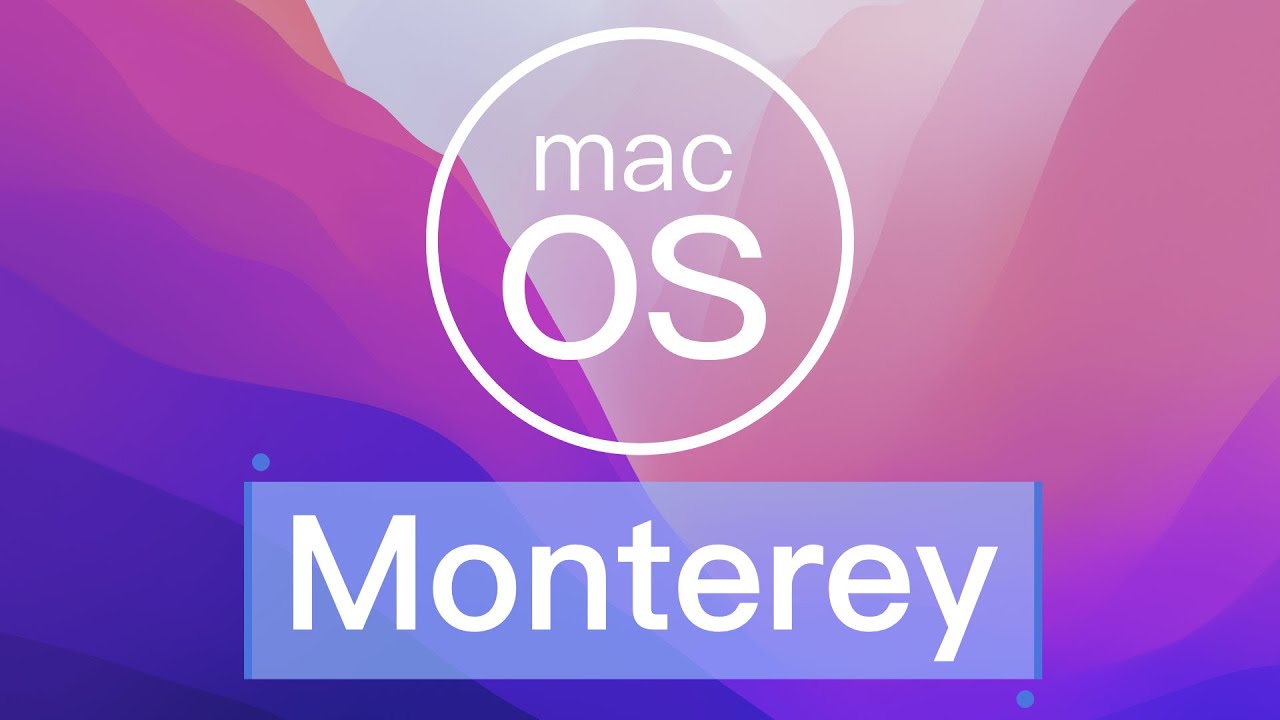 用过就回不去了 Macos Monterey 8 大核心功能详细讲解 其一 实况文本 Youtube