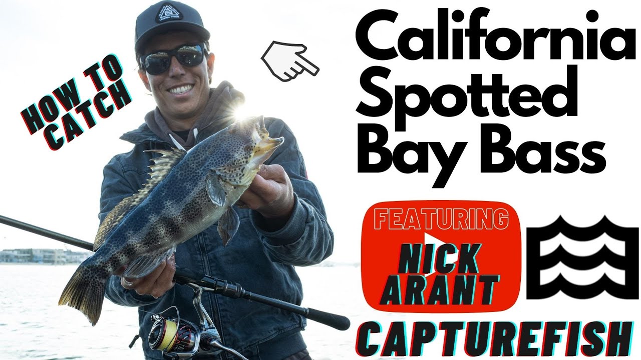 How to Catch California Spotted Bay Bass