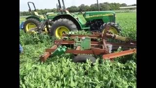 Wide Blade Cultivator - Green Manure Termination