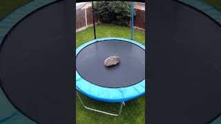 Check out this youtube video!