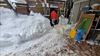 家と庭と山小屋の一日【IKEA DUKTIG点セットと薪ストーブ】