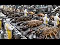 Inside a Scorpion Venom Factory — From Live Capture to Medical Extraction