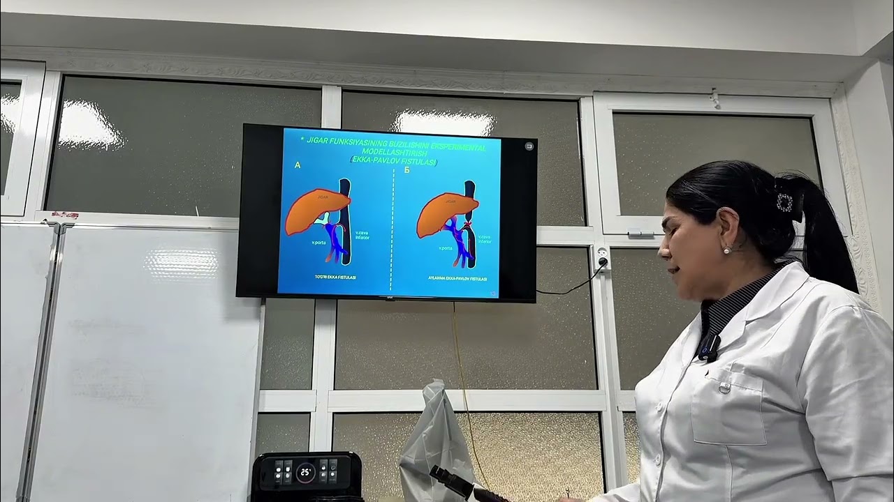 Me'da osti bezi va jigar patofiziologiyasi