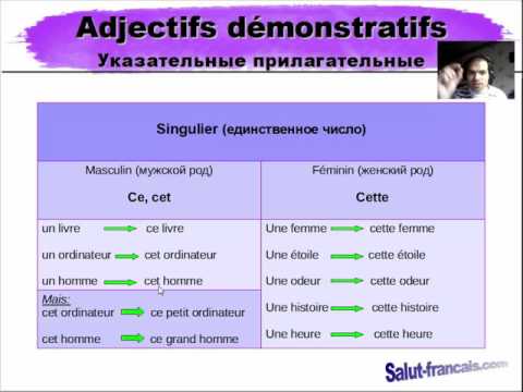 Французские указательные прилагательные:  ce, cet, cette, ces