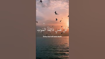 سورة العنكبوت 💗🥹