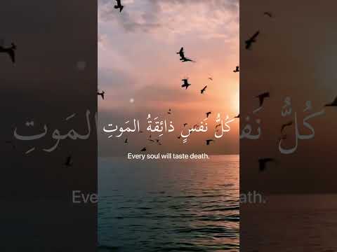 سورة العنكبوت