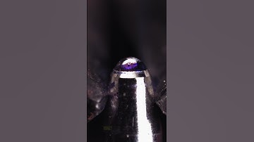 Biting a Ballpoint Pen in Super Slow Motion