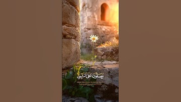 إن الله وملائكته يصلون على النبي.. #صلوا_على_النبي #قرآن #ريحانة_قرآن #quran #تلاوة_خاشعة #طمأنينة