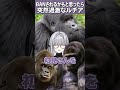 【#vtuber 】ドラミングってのはねェ！こうやるんですわァ！【#shorts 】