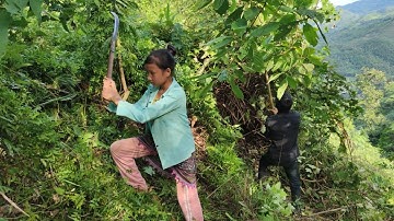 Một Ngày Lên Nương Cùng 2 Em Khứ Cụa|Cói Lalin
