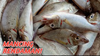 Mancing di spot ini ikannya selalu gacor‼️