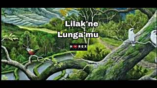 Woro Widowati - Lilakne Lungamu  #music   [ slowed , reverb ]