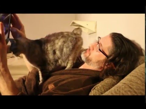 CAT FARTS IN GUY'S FACE