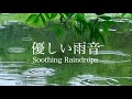 【自然音-雨の音】静かで心地よい雨音・雨だれ ピチョン♪ポチャ♪ / 読書や勉強のお供に！ / 作業用BGM 環境音 / リラックス・リフレッシュ / Nature Sounds ASMR