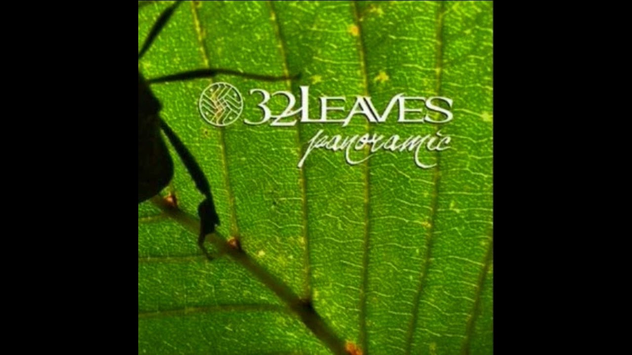 32 Leaves - Erase All Memory