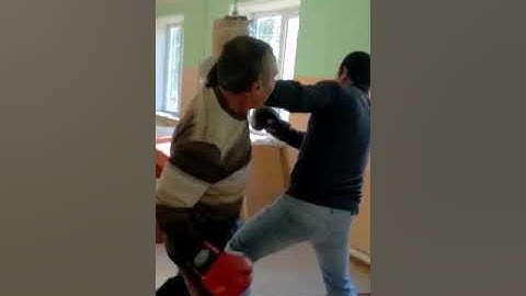Дикие боксеры