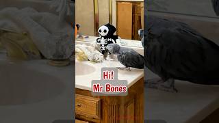 Einstein just wants to say “Hi!” 👋💀 But his bony buddy isn’t talking back! #fallintoshorts