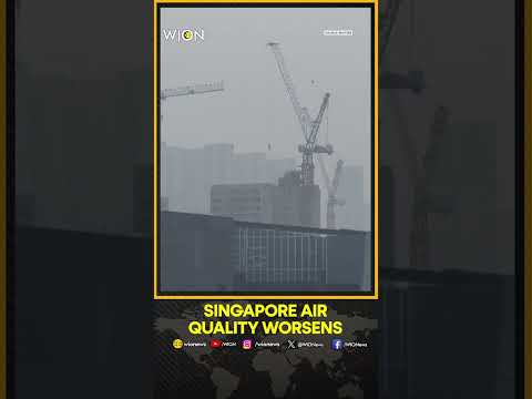 Singapore Haze Worsens As Fires Rage In Neighbouring Indonesia | WION Shorts