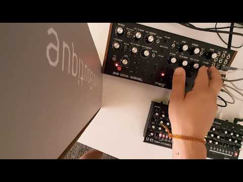 Moog DFAM and Roland SE-02 connected
