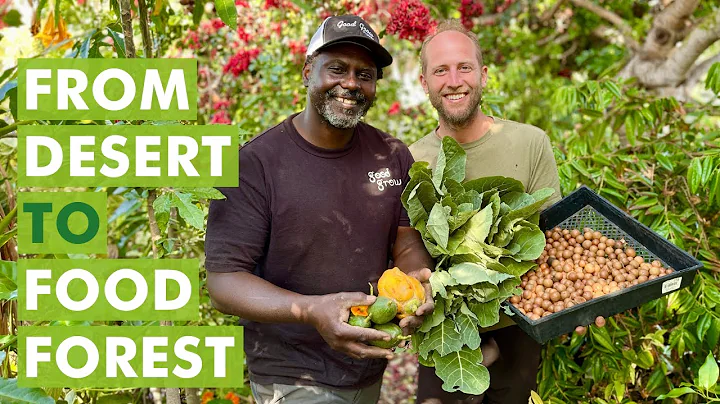 From Desert to Food Forest - A Transformation thro...
