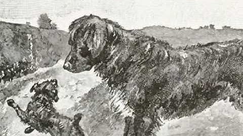 a 2-5 Video Lesson V.:  TWO DOGS. - McGuffey