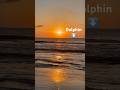 Corolla beach at sunrise #outerbanks #beach #northcarolina #water #dolphin #sunrise #ocean