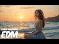 EDM Relax: Chill &amp; Focus 🎧 Relaxing EDM for Work, Study &amp; Daily Flow