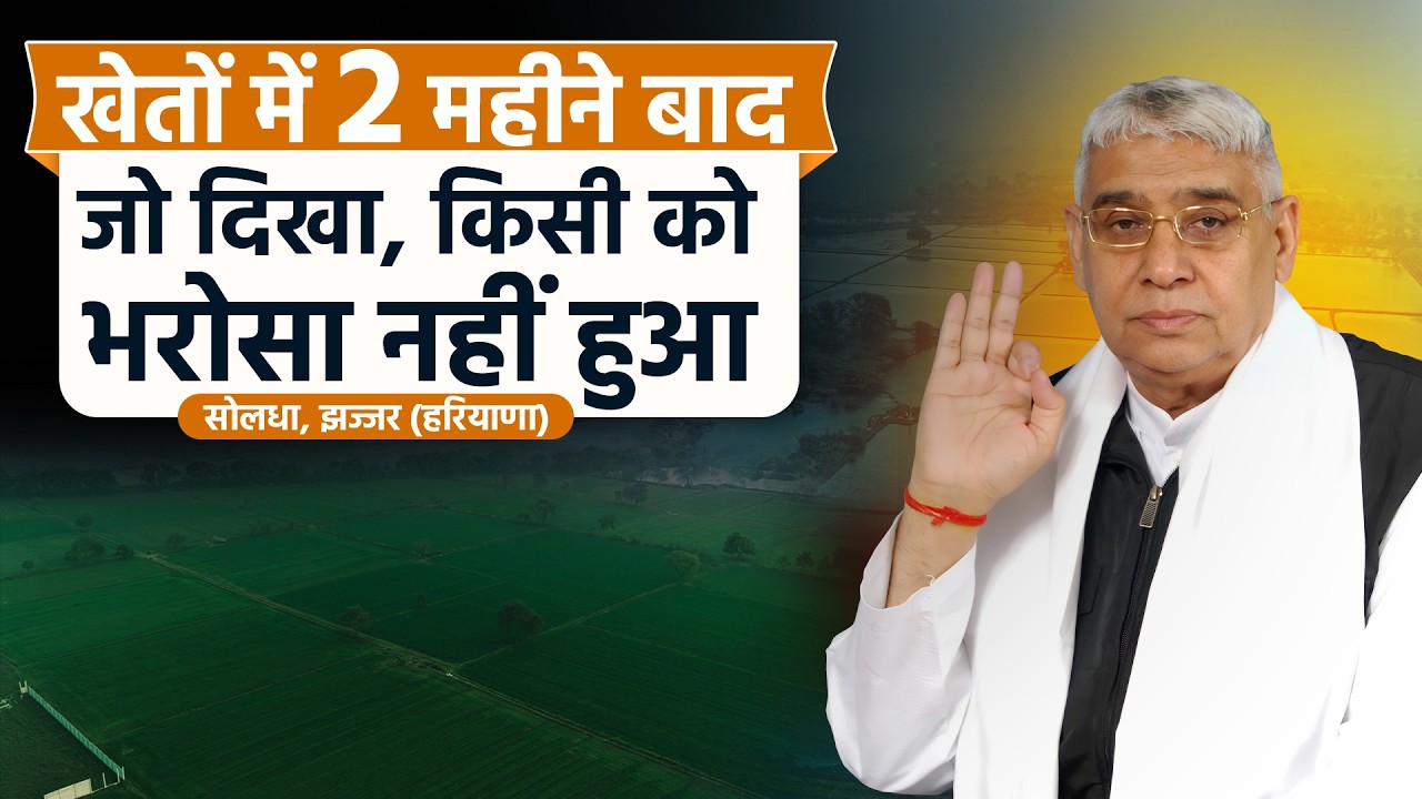 सोलधा, झज्जर (हरियाणा) 250 एकड़ डूबे थे… आधा पानी उतरते ही क्या हुआ? SA News Channel