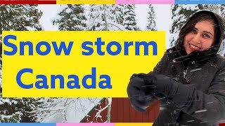 Crazy Weather Snow Storm in Alberta, Canada (Nov 7, 2020)