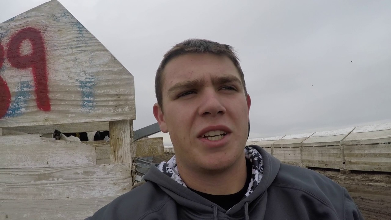 California Pigeon Hunting 