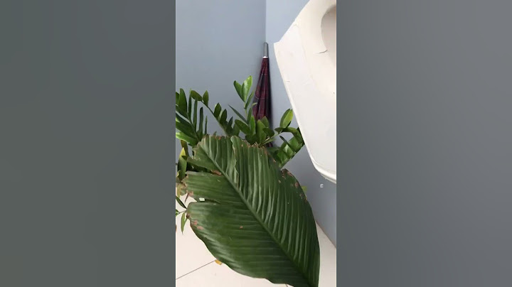 Uma Organizada antes de sair de casa !