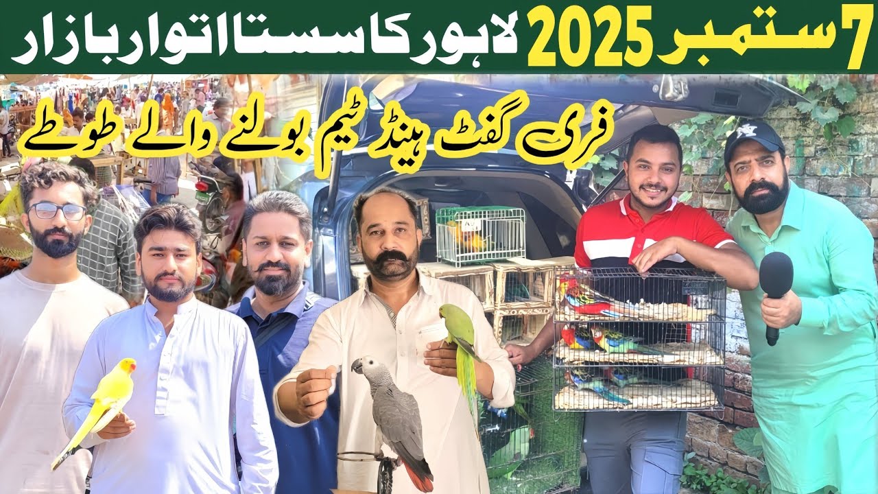 Lahore sunday birds market 2025 | sunday market 
