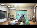2023年 とある日の中日ドラゴンズの試合を観るドラファン　【猫ミーム】