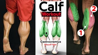 7 BEST EXERCISE  CALVES WORKOUT & Calf Raise