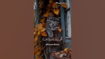 {أَفَمَن وَعَدْنَاهُ وَعْدًا حَسَنًا } قرآن كريم سورة القصص للقارئ أحمد كاسب #quran  #استماع_وتلاوة