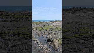 Hayama | Shibasaki Beach