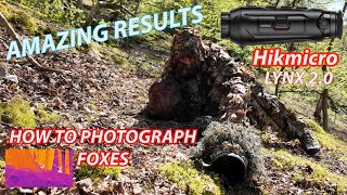 Fox photography and Hikmicro Thermal Monocular test