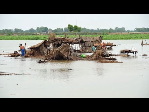 Live: villages in pakistan devastated by dramatic floods