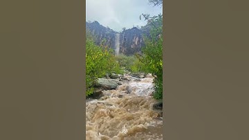 واذكر ربك إذا نسيت بصوت القارئ إسلام صبحي