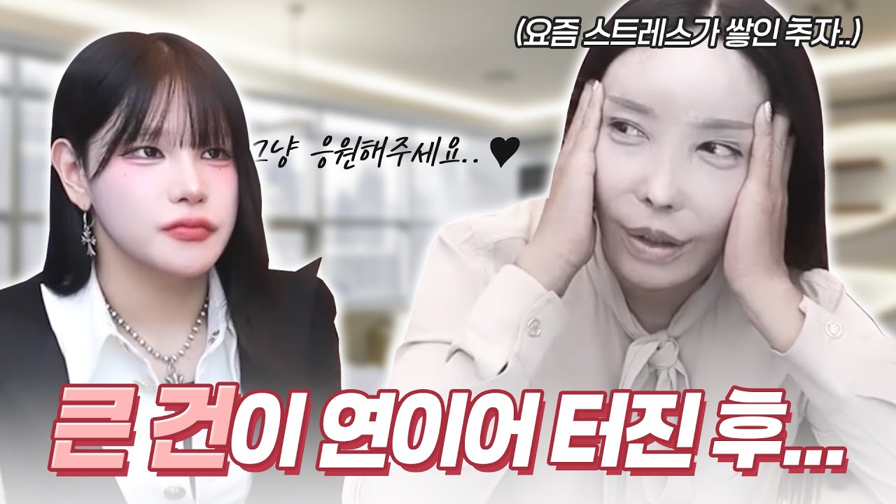 큰 건이 터진 후 평화를 찾은 오퍼스.. 기분 전환이 필요해!