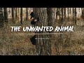 The Amazing Devil - The Unwanted Animal (Lyrics)
