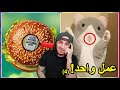 لما يكون عندك عمل واحد تساويه و تساويه غلط 4