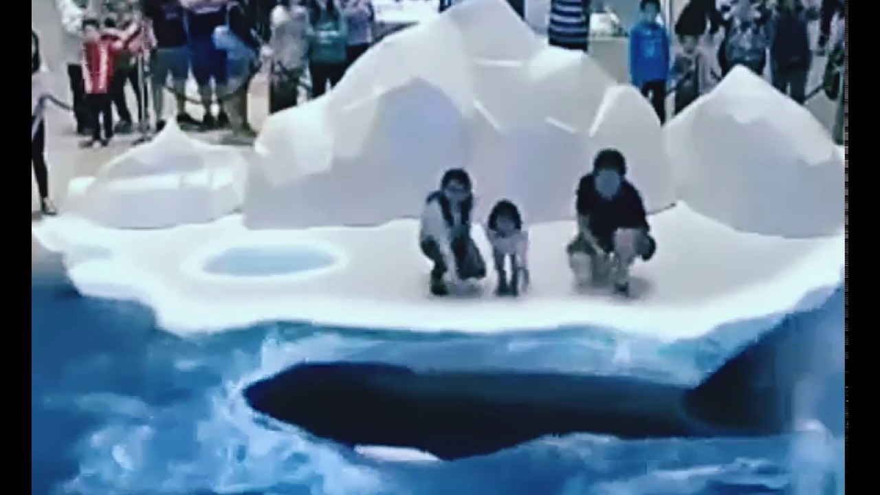 Beauty of Dubai | These Things can only happen in Dubai | Go Dubai