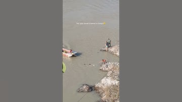 Two guys almost drowned in Ganga in Rishikesh! 😮 #rishikesh #drowning #river #ganga #rafting #foryou