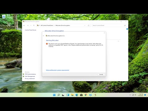 Cách sửa lỗi File Explorer chậm trong Windows 11 65 Cách sửa lỗi File Explorer chậm trong Windows 11